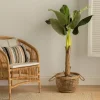 Kenay Home Bananero Hot