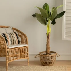 Kenay Home Bananero Hot