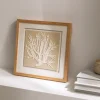 Kenay Home Coral Discount