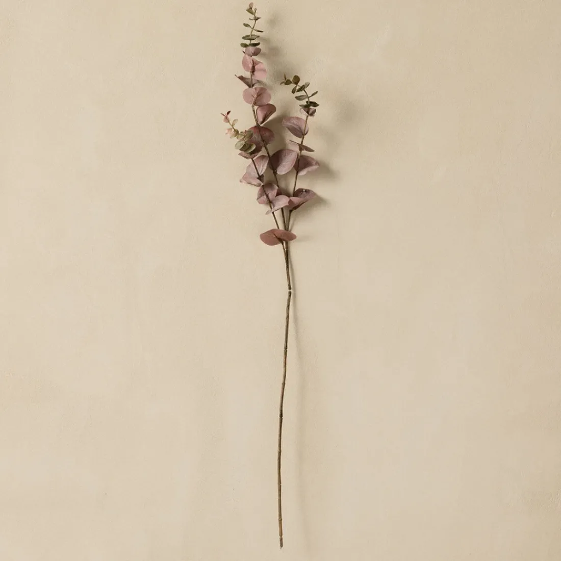 Kenay Home Eucalyptus Discount