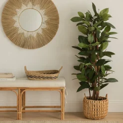 Kenay Home Ficuss Hot