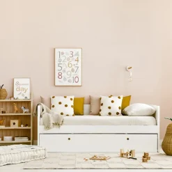 Kenay Home Fruit Outlet