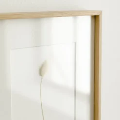 Kenay Home Iagurus Fashion