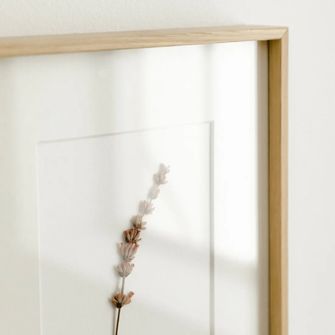 Kenay Home Lavanda Fashion
