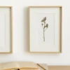 Kenay Home Limonium Online
