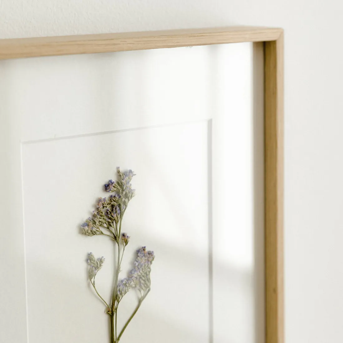 Kenay Home Limonium Online
