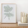 Kenay Home Mimosa Best
